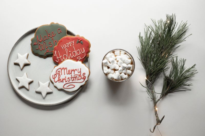 Eco-Friendly Christmas Decorations: Sustainable Solutions for a Merry and Green Holiday Season