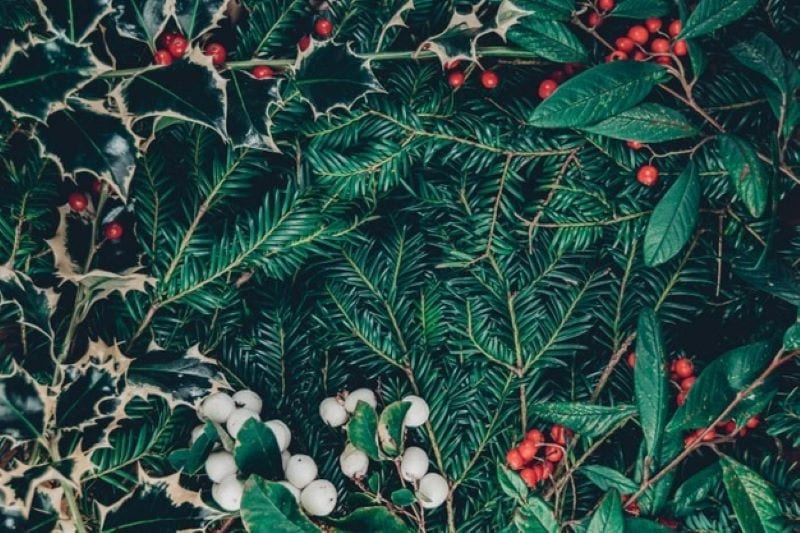 Decorating Your 8 Foot Artificial Christmas Tree: Ideas and Inspiration for a Show-Stopping Display