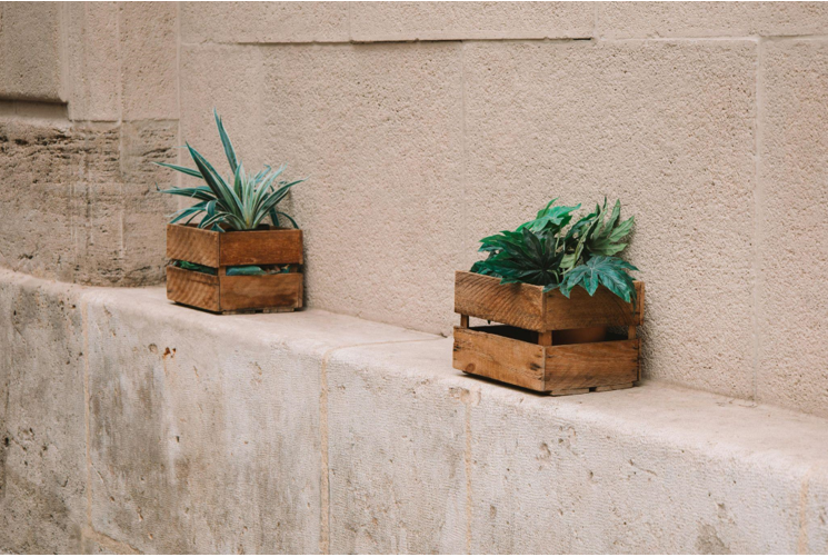 Transform Your Space with Artificial Plants